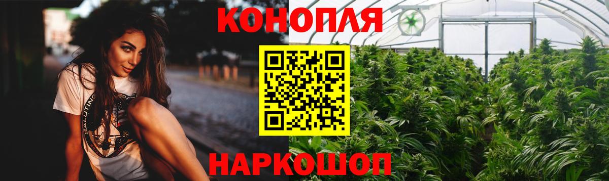 Марихуана сатива Светлоград